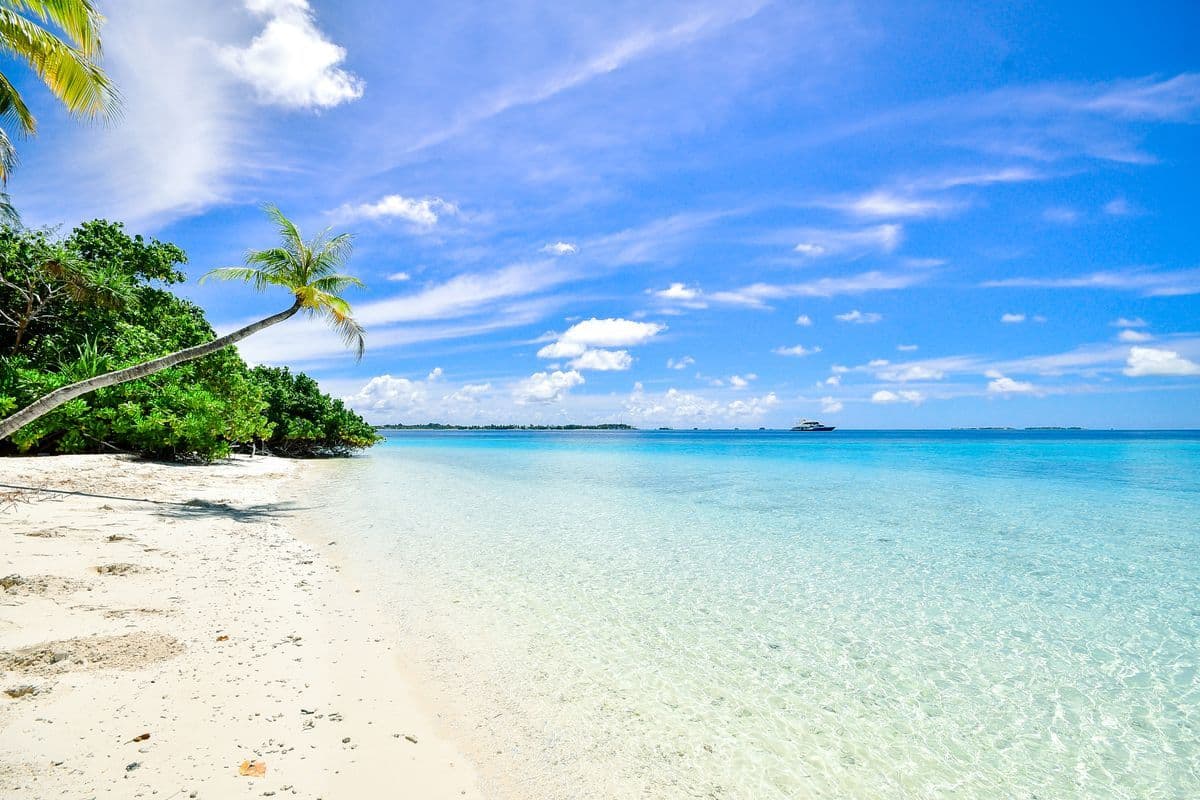 Turquoise Caribbean waters